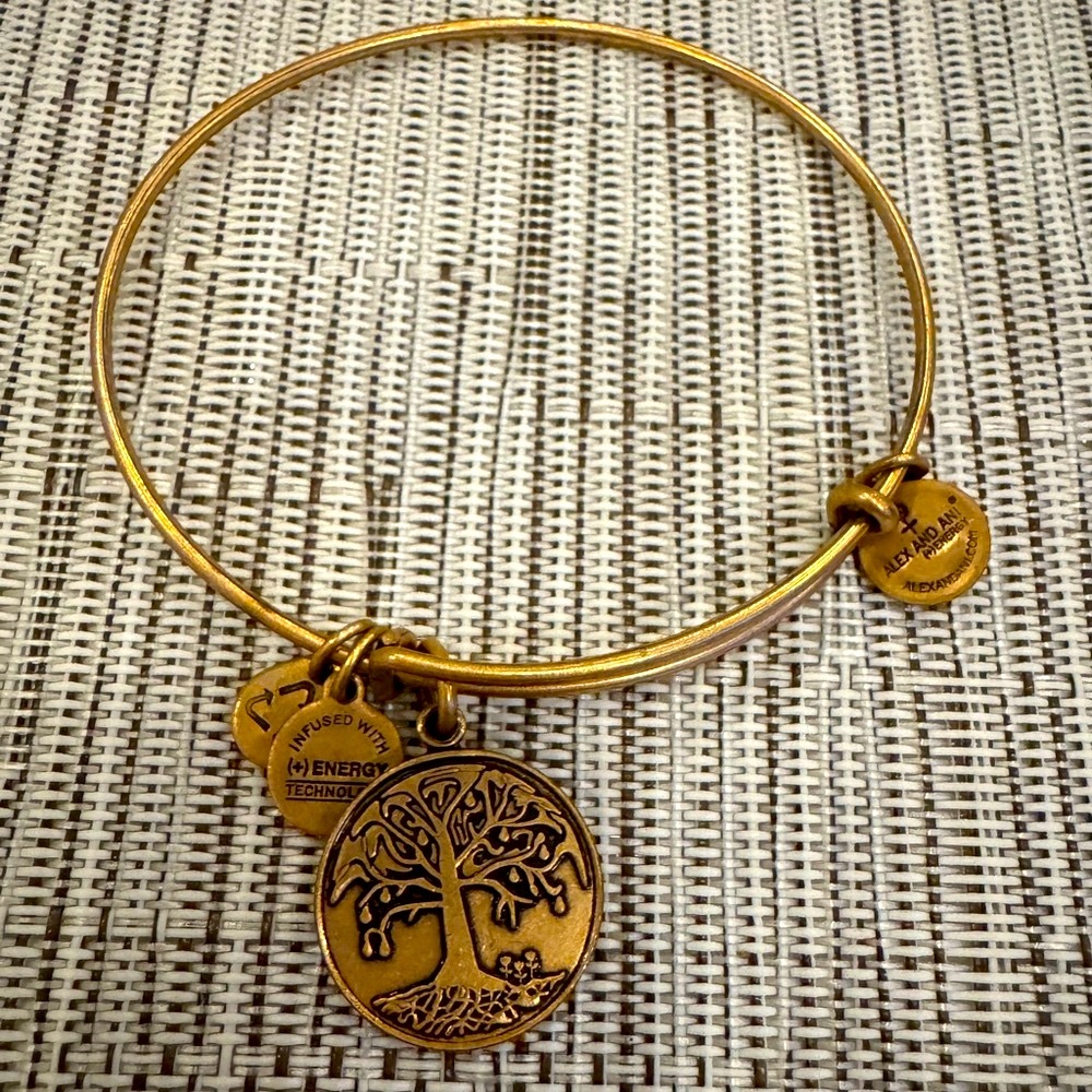 Alex and Ani 2014 Gold Tree of Life Bracelet